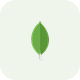 MongoDB